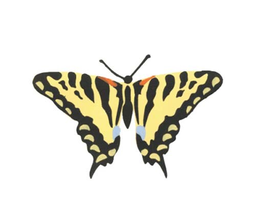 Tiger Swallow Tail Butterfly Wall Stencil | 2687 by Designer Stencils | Animal & Nature Stencils | Reusable Art Craft Stencils for Painting on Walls, Canvas, Wood | Reusable Plastic Paint Stencil for Home Makeover | Easy to Use & Clean Art Stencil