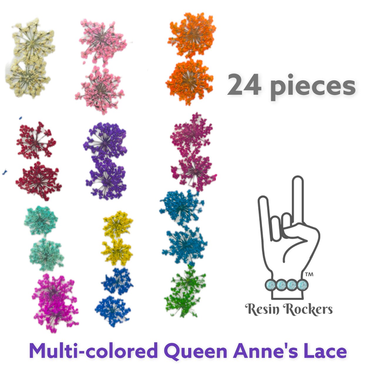 24 Piece Multi-colored Queen Anne&#x27;s Lace Dried Pressed Real Natural Flowers For Epoxy &#x26; UV Resin Art