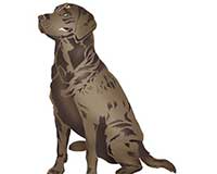 Labrador Retriever Dog Wall Stencil | 2697 by Designer Stencils |