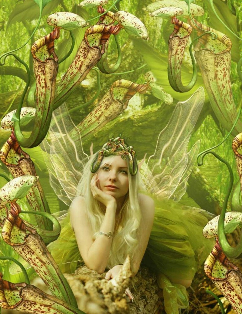 Fairy 22 Poster Print by Babette - Item # VARPDX11092