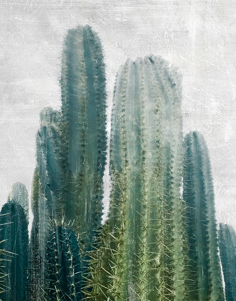 Aruba Cacti Poster Print by Natalie Carpentieri # 42534
