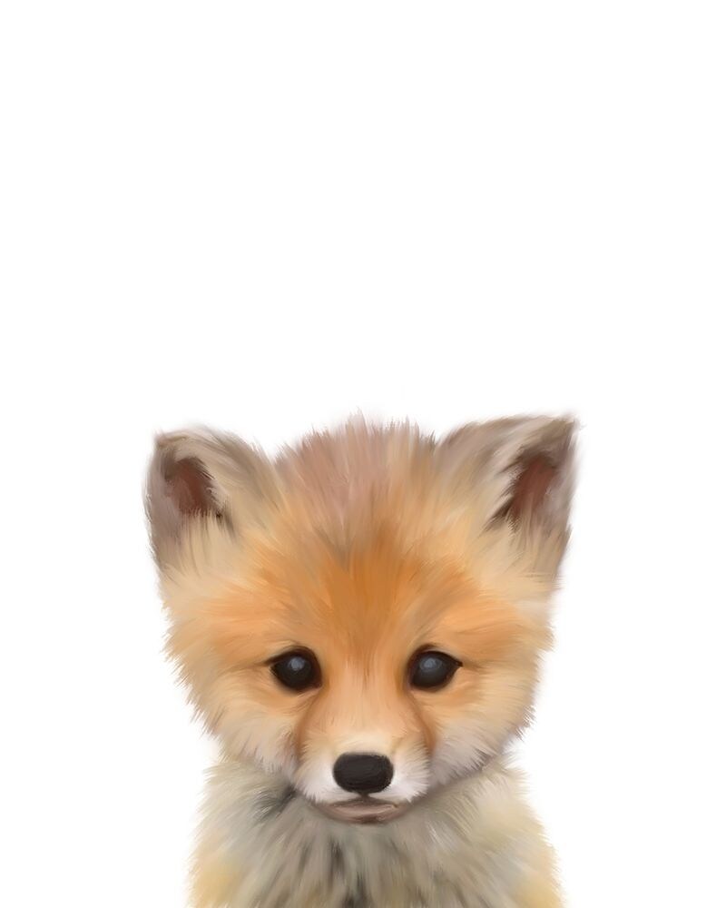 Baby Fox Poster Print by Leah Straatsma - Item # VARPDXLSRC008J