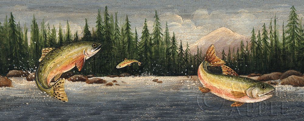 Northwoods Trout Poster Print by David Carter Brown - Item # VARPDX8638