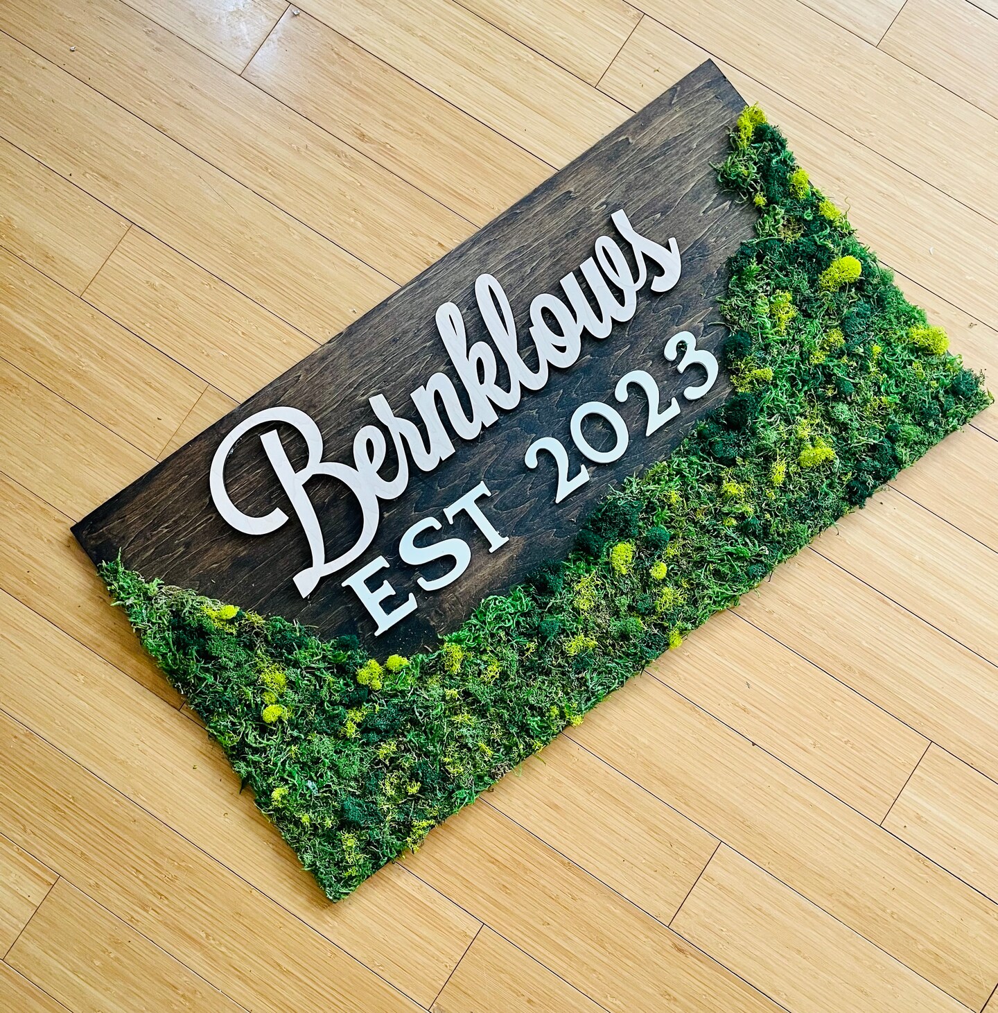 Custom Moss Art Frame with Wood Letters DIY Guide image 2