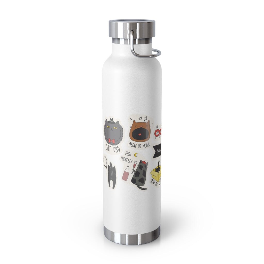 Onetify Everyday is Cat Day Thermos Bottle 22oz