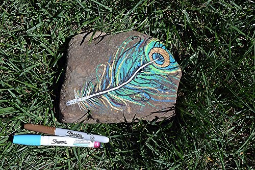 Oil-Based Paint Markers, Medium Point, Assorted & Metallic Colors, 5 Count - Great for Rock Painting