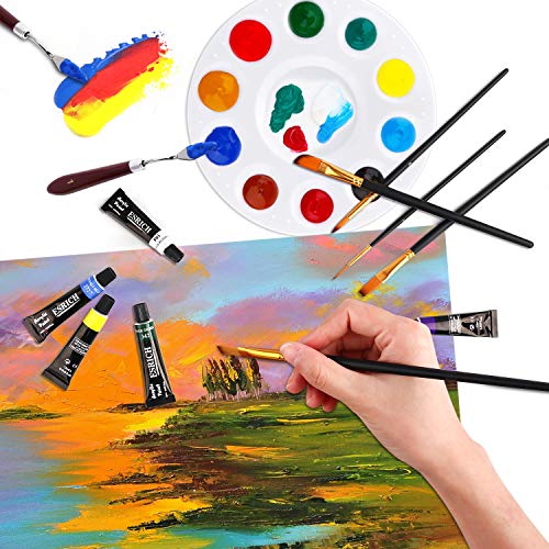 Acrylic Paint Set,46 Piece Professional Painting Supplies with