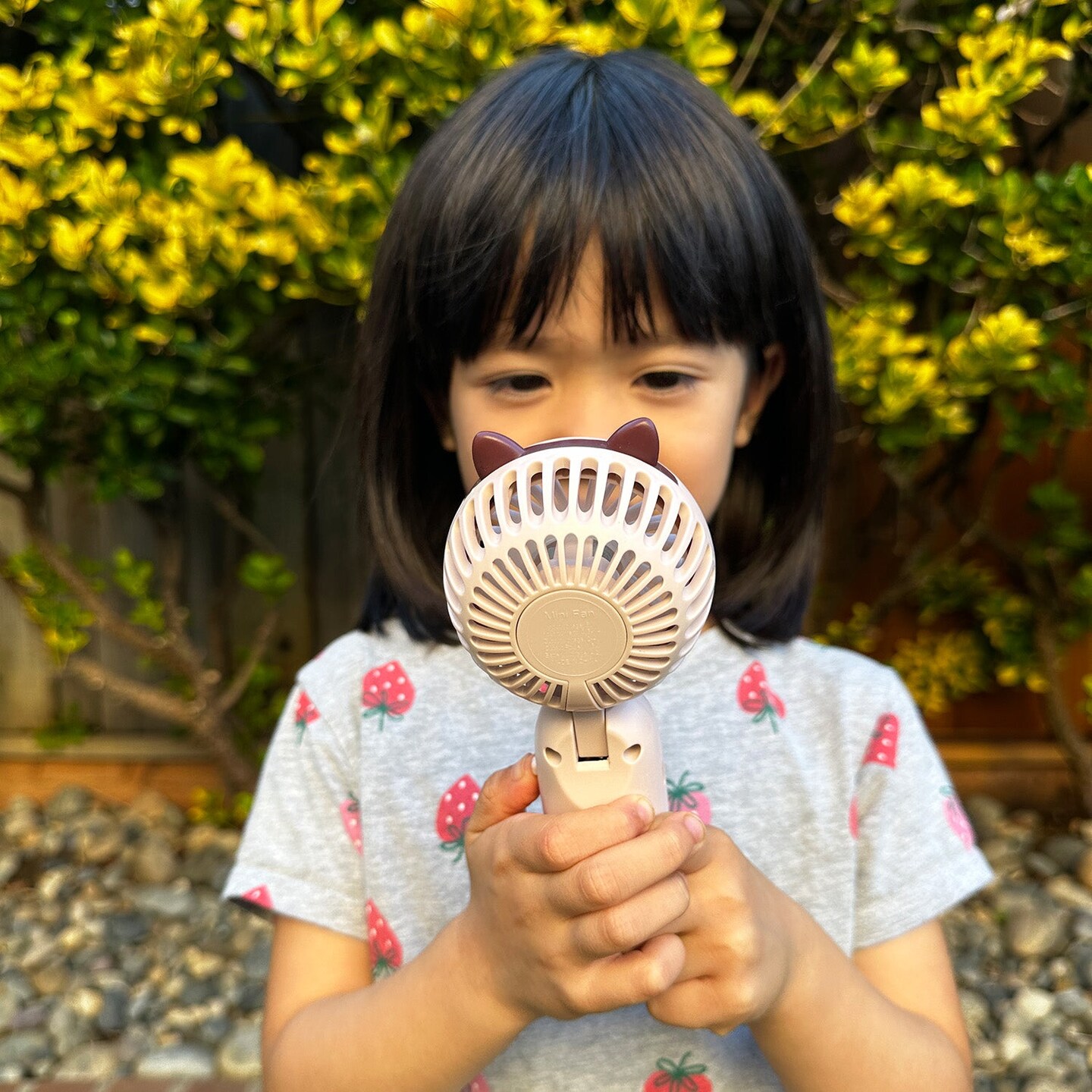 Wrapables Mini Portable Handheld and Desktop Rechargeable USB Fan, Pink Cat