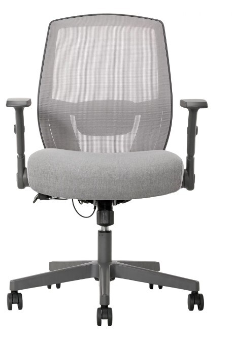 Grey SitTrueTM Rayne Mid-Back Ergonomic Mesh/Fabric Task Chair
