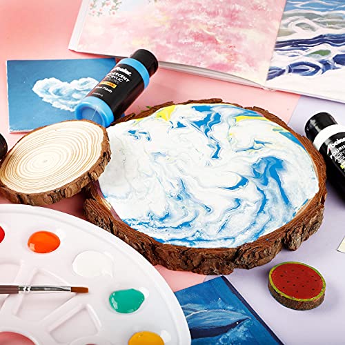 Set of 18, Iridescent Acrylic Paint, Chameleon Colors, 2 oz/60ml Bottles, Color-shifting, Non-Toxic, High Viscosity, Blendable, Paints on Rocks Crafts Canvas Wood, Fabric, Ceramic & Stone