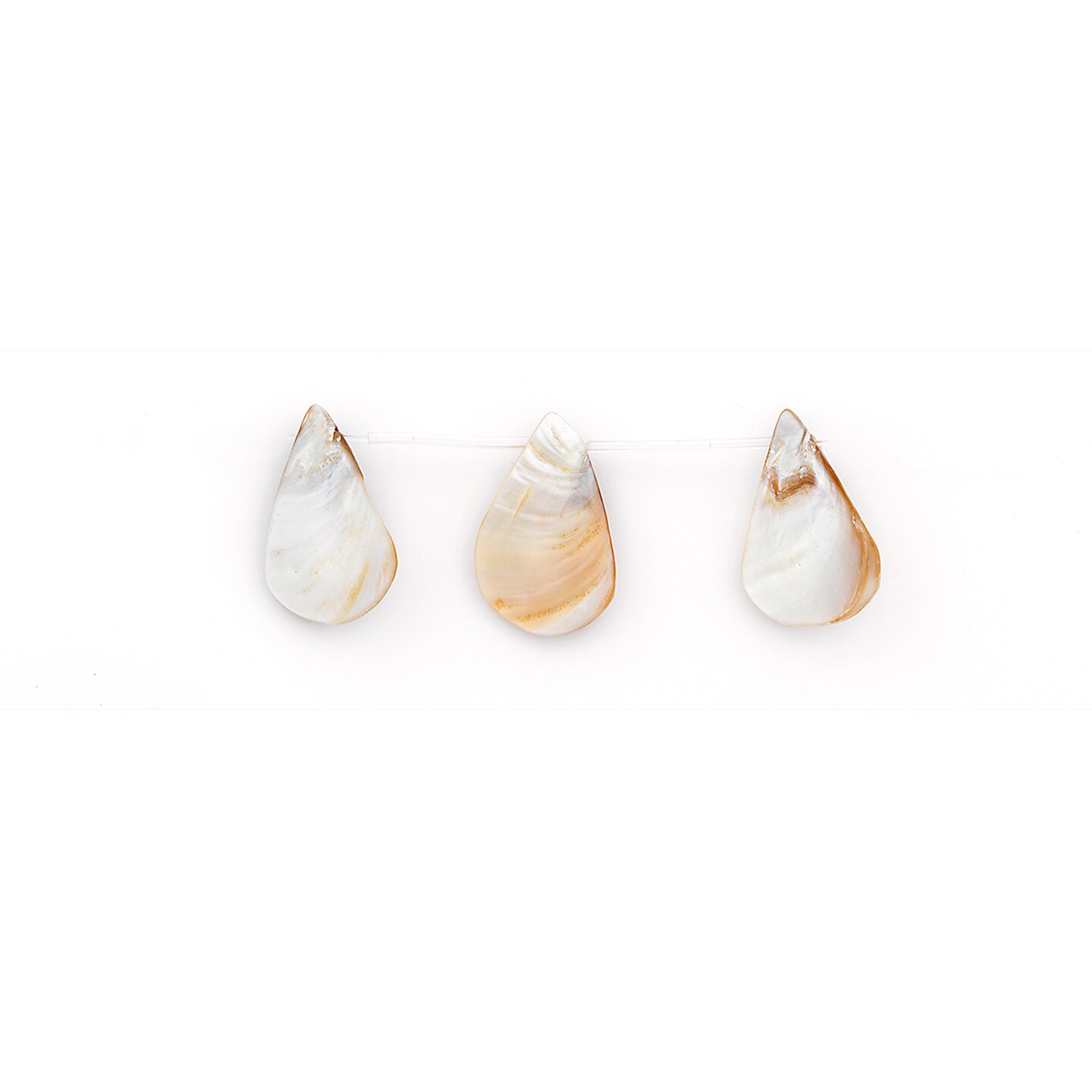 Drop Shape Shellin Sea Shell Hand Crafted Fan/Drop Shape Beads/Pandants Gray | Michaels