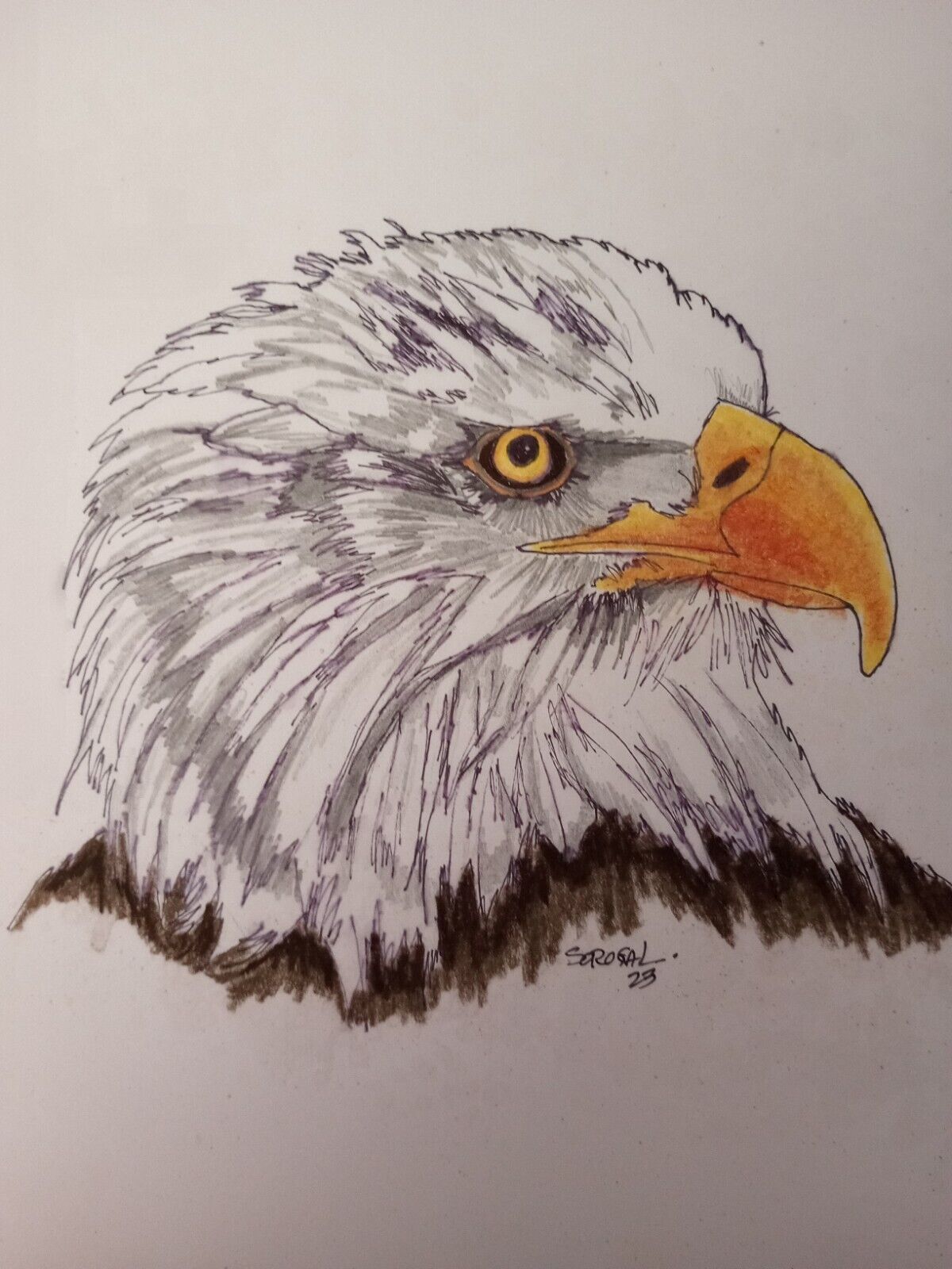 Premium Photo | A pencil sketch of bold eagle