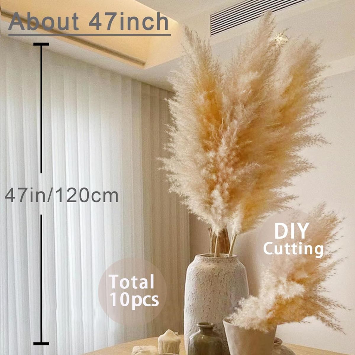 47 Inches Tall Dried Pampas Grass