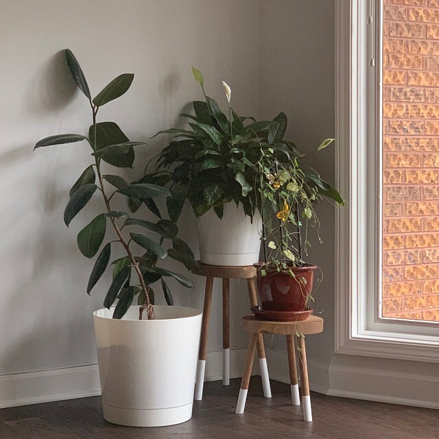 Accent Stool Modern Plant Stool Three Leg Stool Indoor Plant Stand