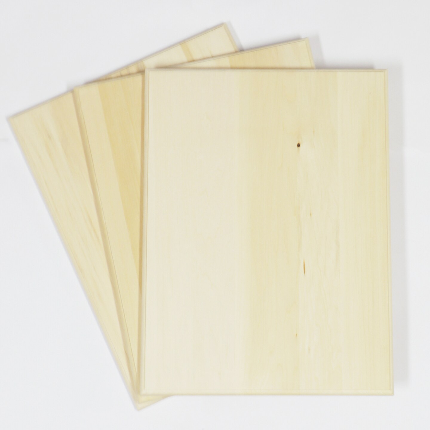 Wilson Basswood Plaques (12 Pack)