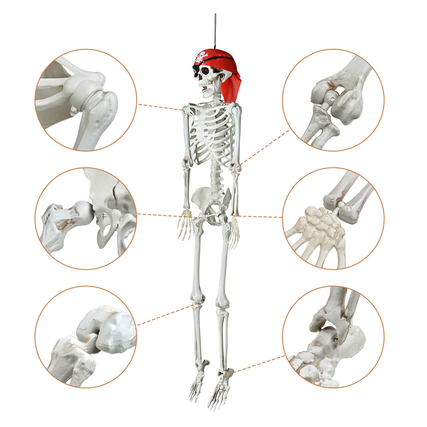 Halloween 5.4 FT Skeleton Bones