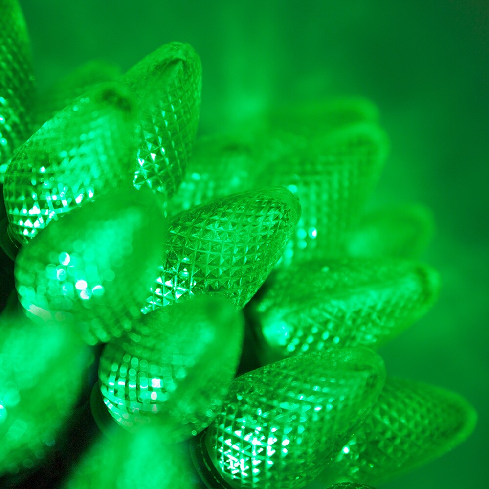 25 Green C7 LED Christmas Lights, Green Wire, 8&#x22; Spacing