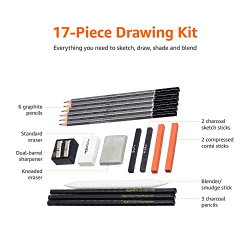 17 Piece Set, Sketch and Drawing Art Pencil Kit, Charcoal, Black, White