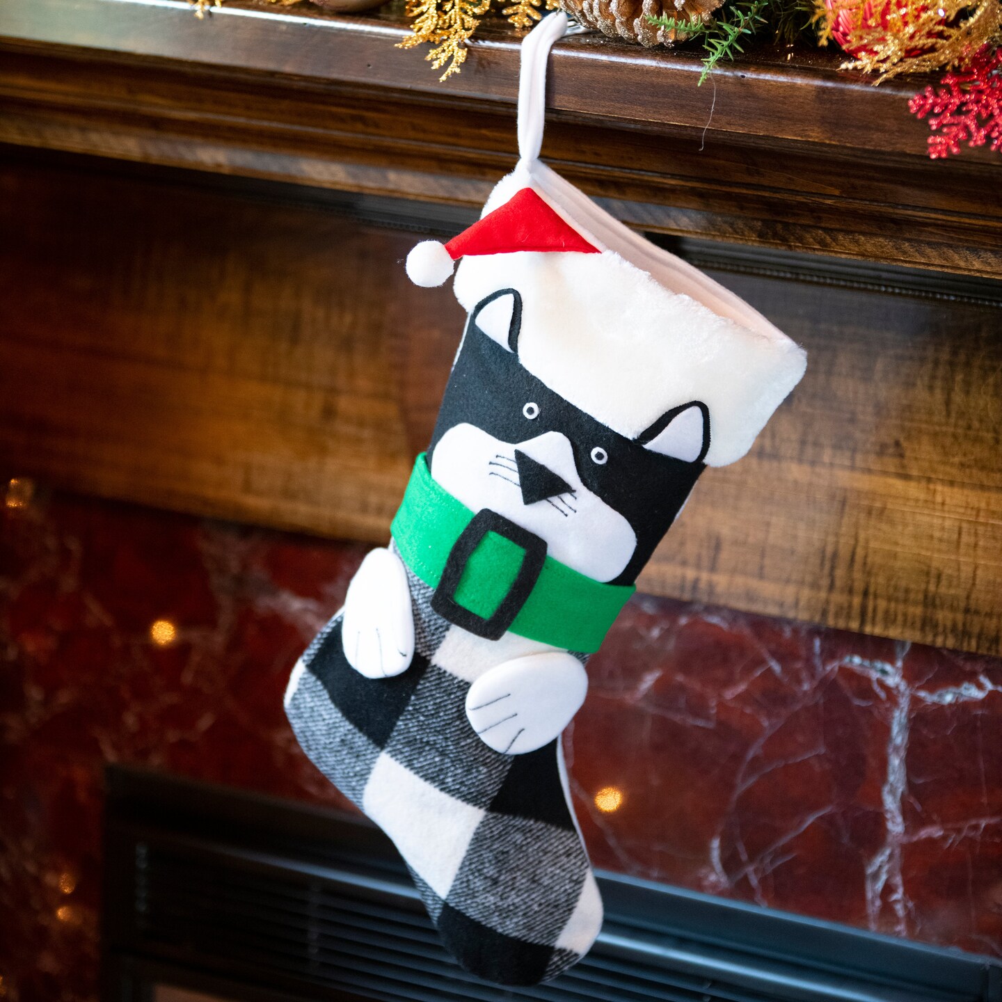 Our Curious Kitty Stocking