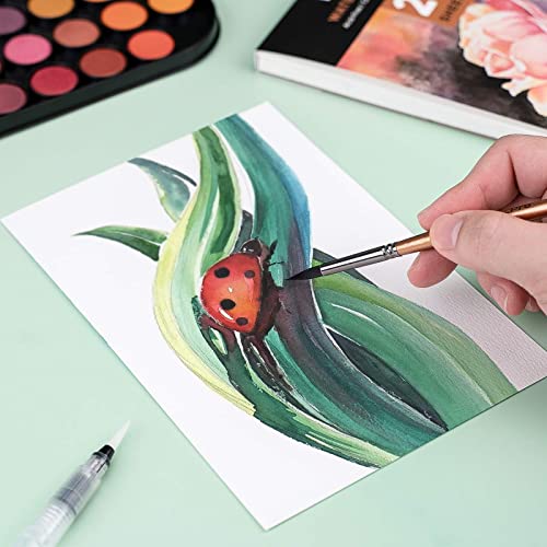 Watercolor Paint Set, 48 Water Colors Kit with 8 Squirrel Brushes, Palette, Watercolor Pen, 25 Art Pad Paper, 2 Art Sponges, Non-toxic Painting Supplies for Kids, Adults, Beginners, Artists