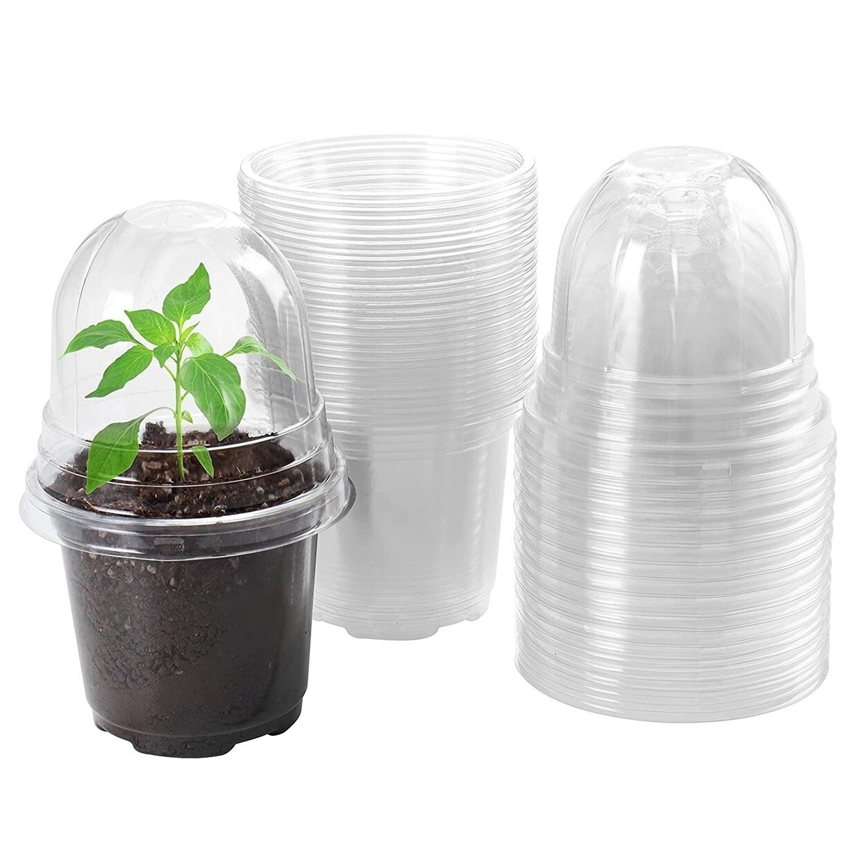 SKUSHOPS 30Pcs Plant Nursery Pots PET Flower Seed Starting Pots Container with Dome with Drainage Holes