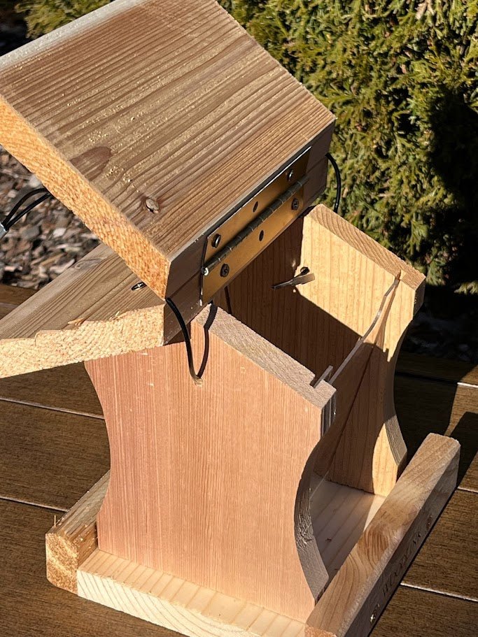 Kids DIY Bird Feeder Kit