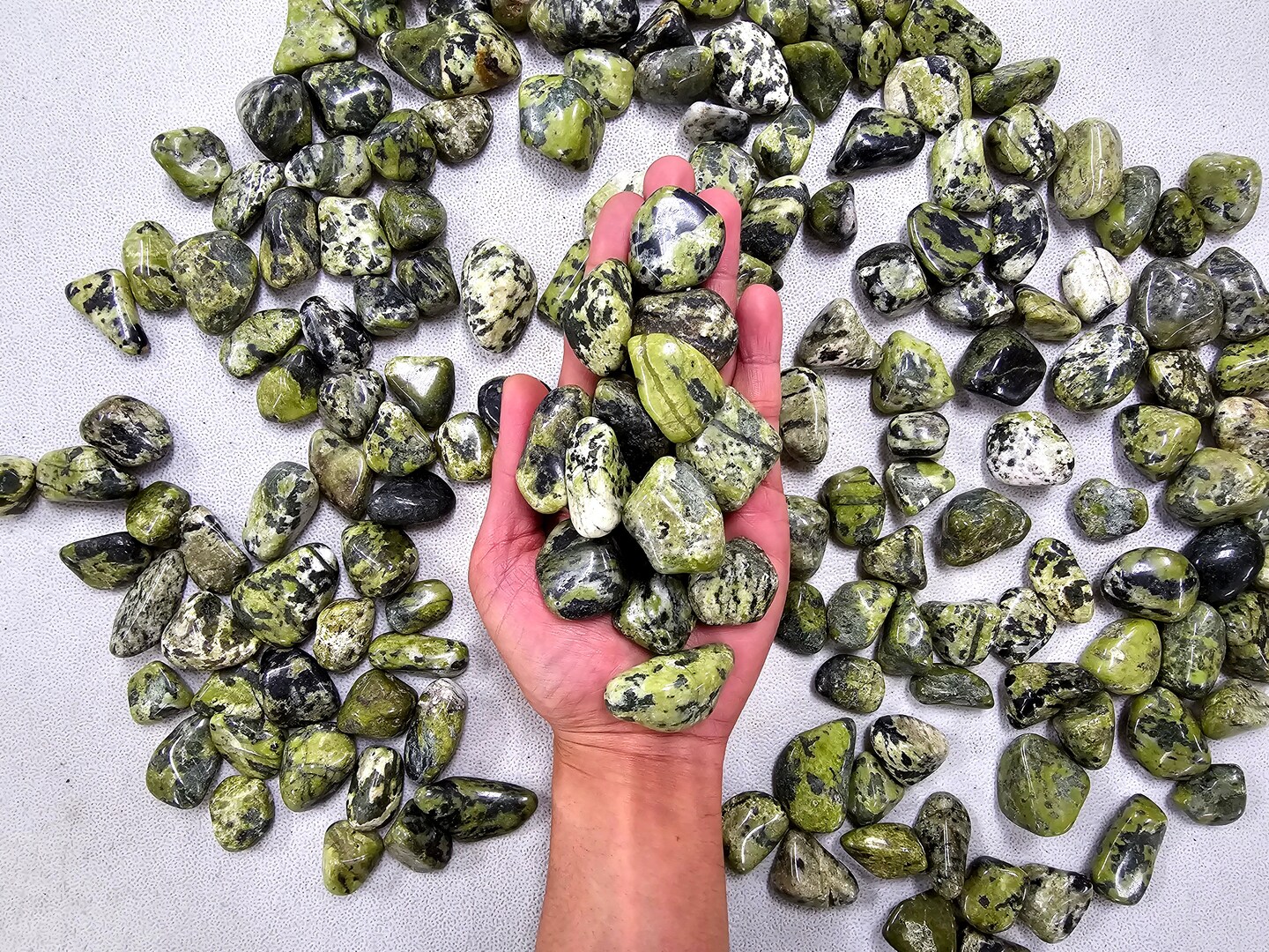 Tumbled Green Serpentine Crystal Stones from India Bulk Wholesale Gemstones