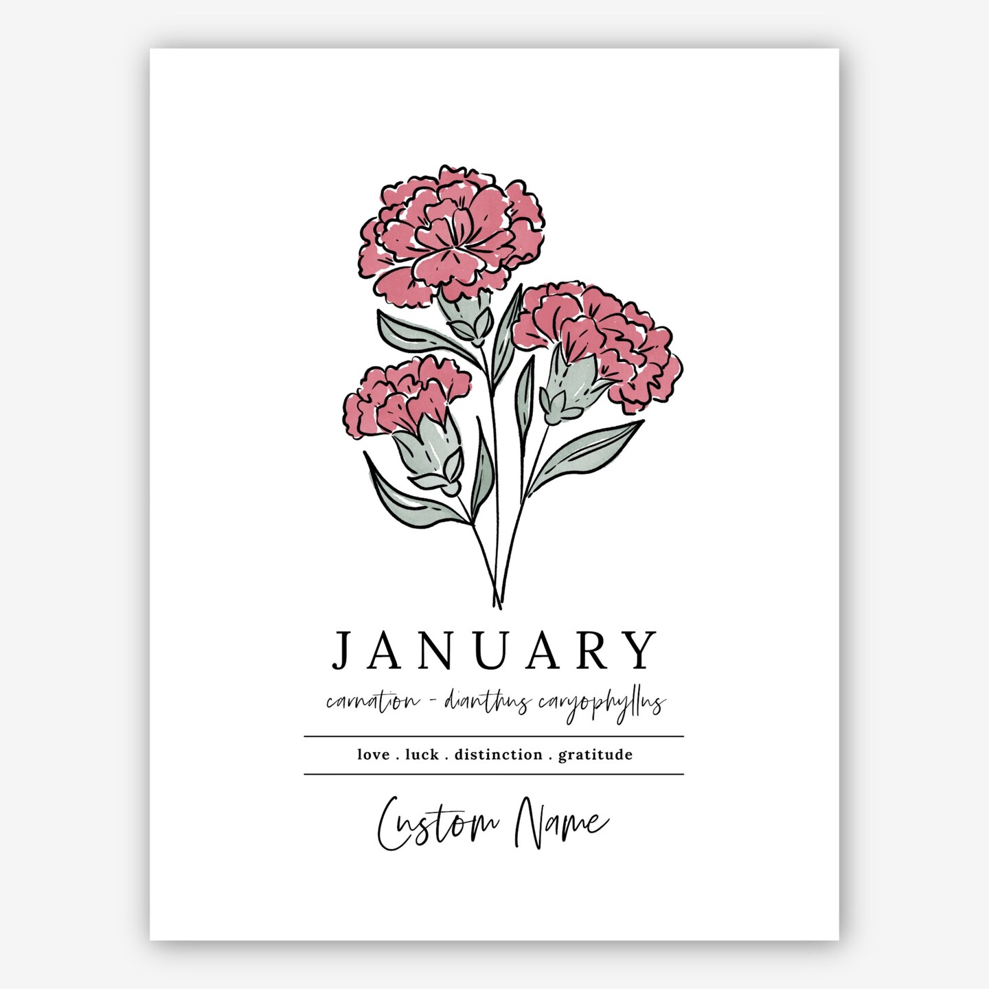 Personalized January Carnation Birth Flower Art Print | Floral Inspired  Birthday Gift