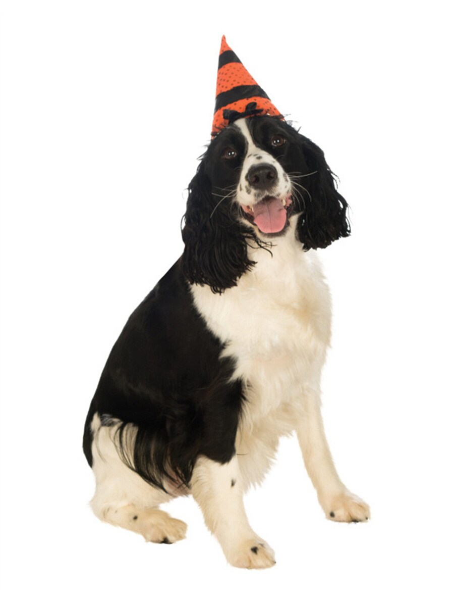 Orange Black Witch Warlock Hat For Pet Dog