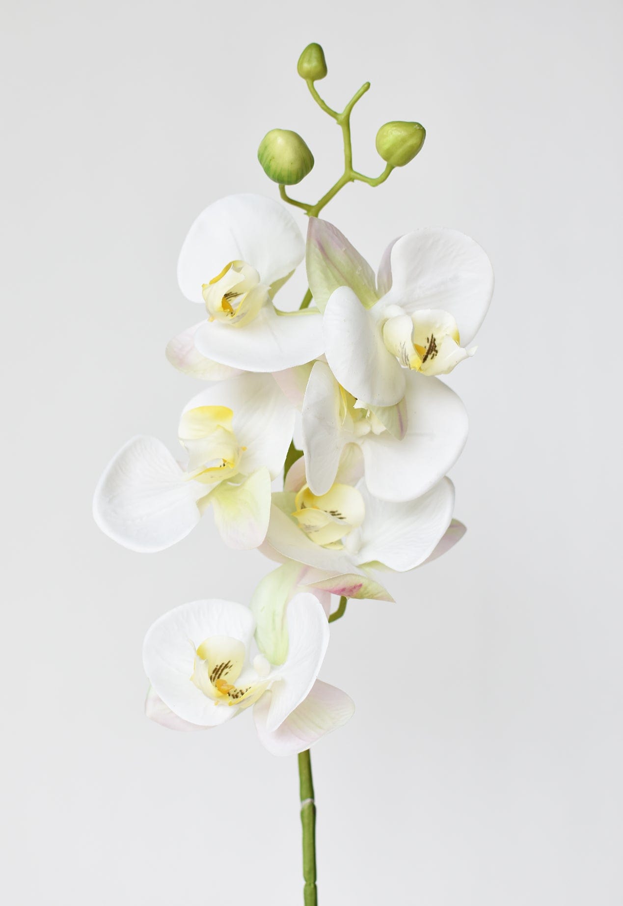 30&#x22; Faux White Orchid Stem