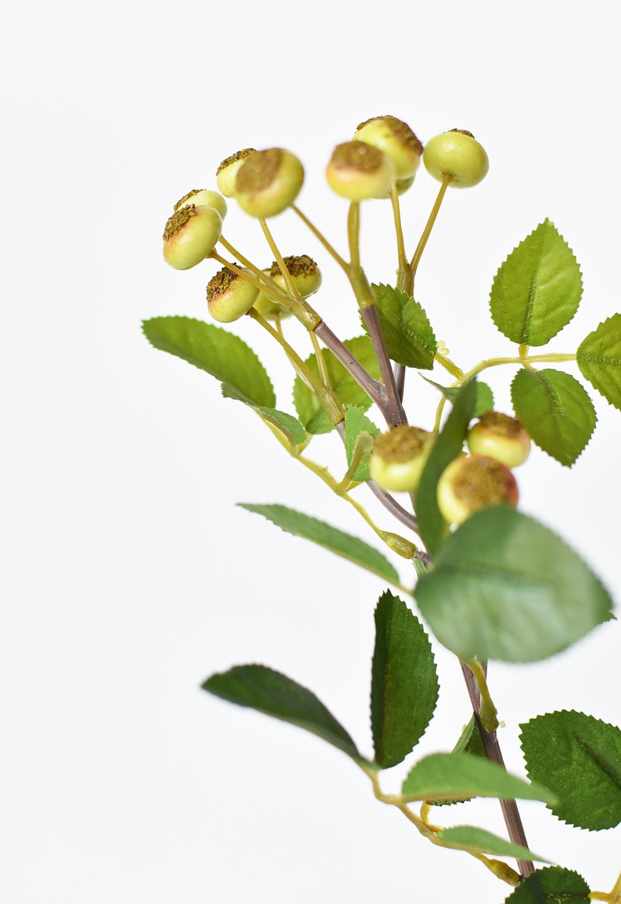 23&#x22; Faux Rosehip Berry Stem