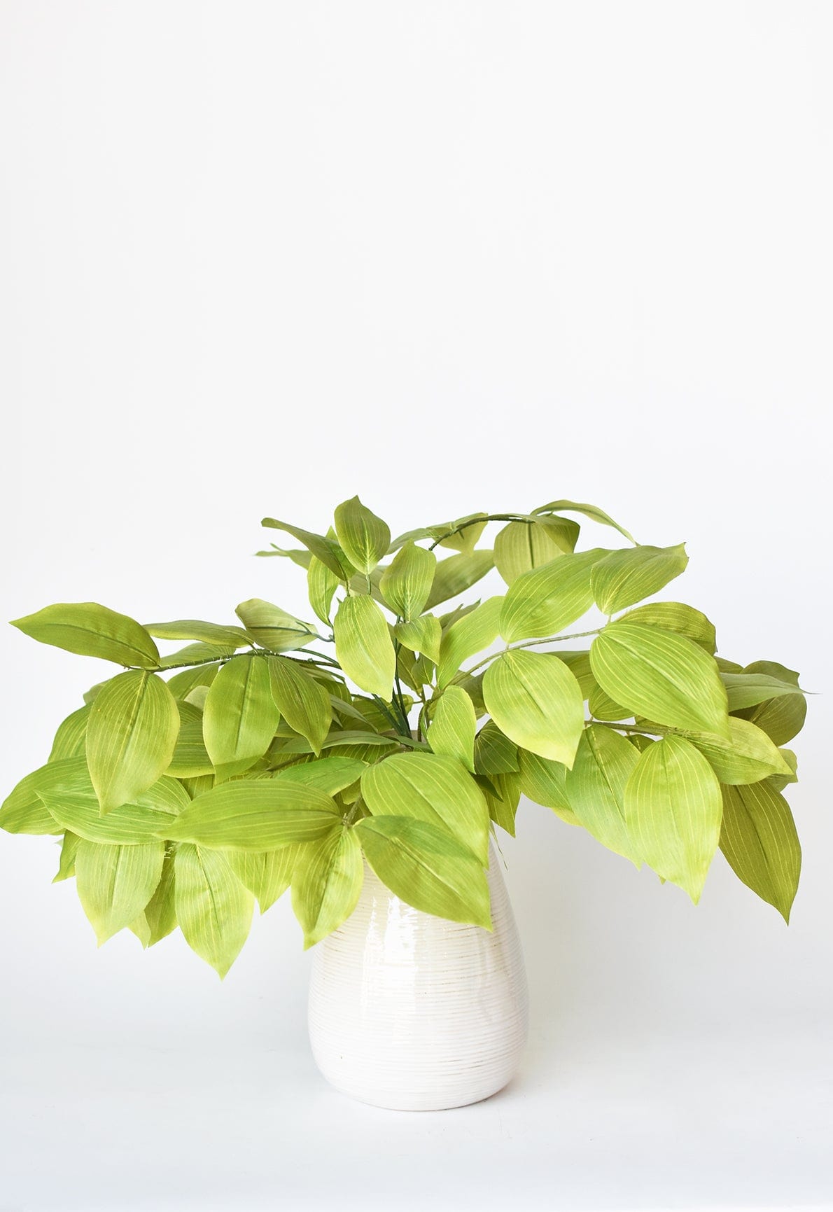 18&#x22; Faux Fat Acuba Bush