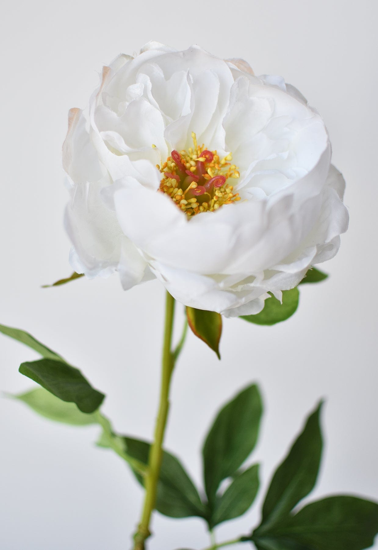 22&#x22; Faux White Peony Stem