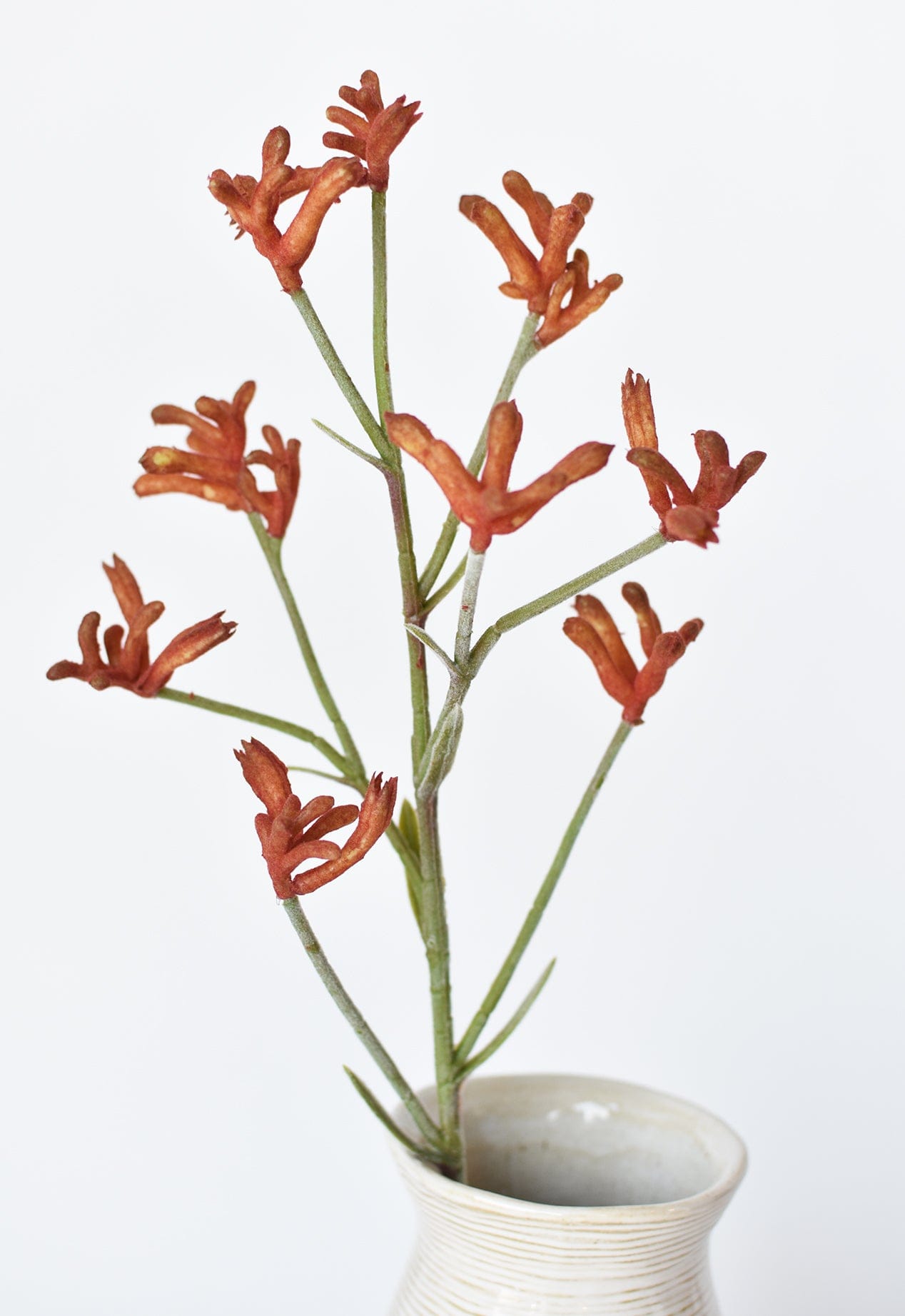 28&#x22; Faux Orange Kangaroo Paw Stem