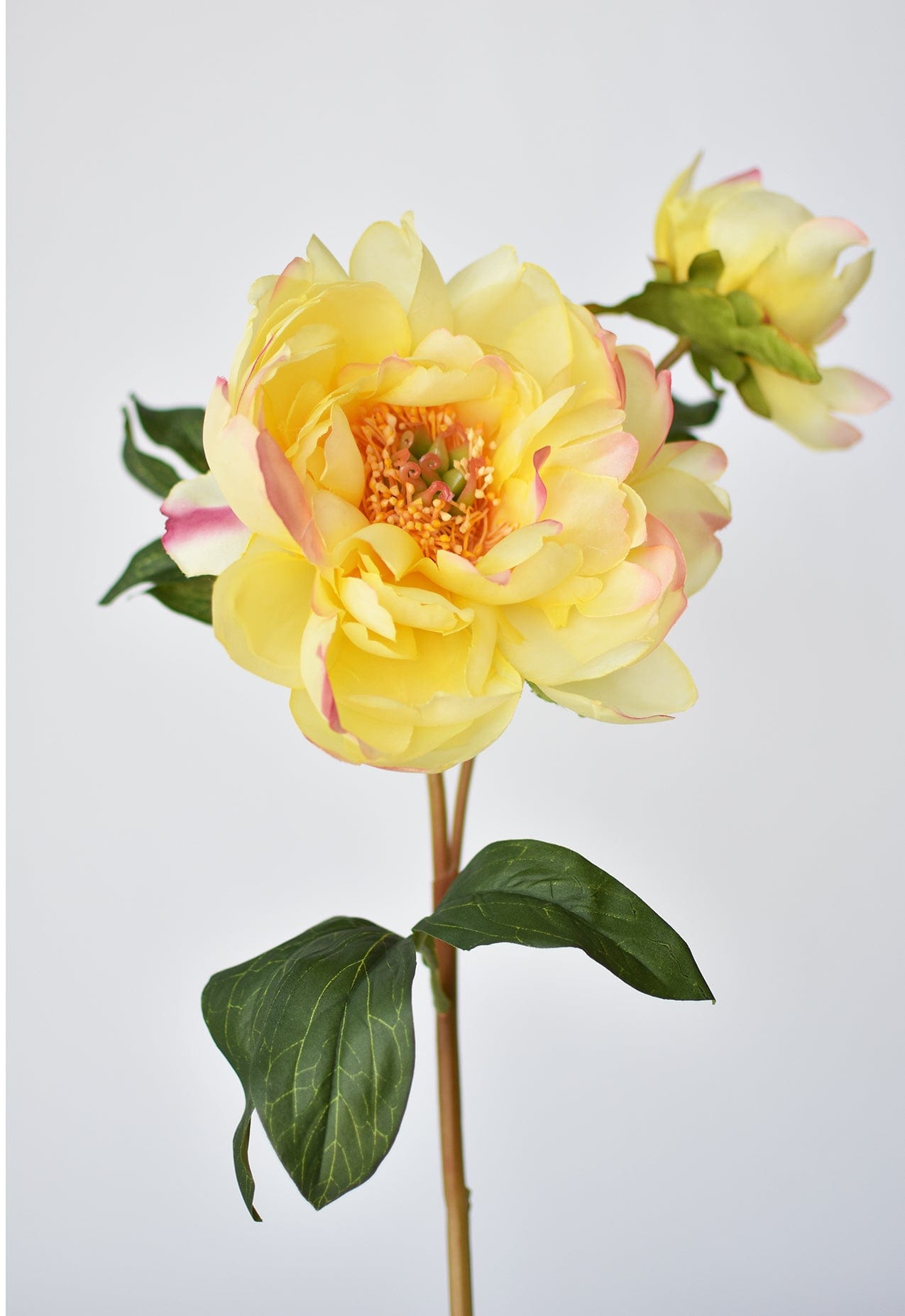 22.5&#x22; Faux Peony Stem w/Bud Yellow