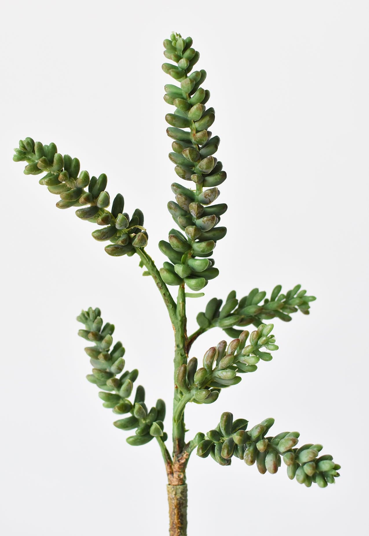 13&#x22; Faux Green Monkey Tail Stem