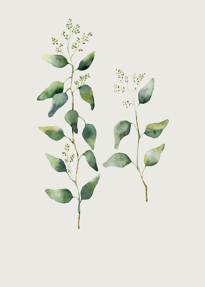 Botanical I Poster Print by Incado - Item # VARPDXIN99226