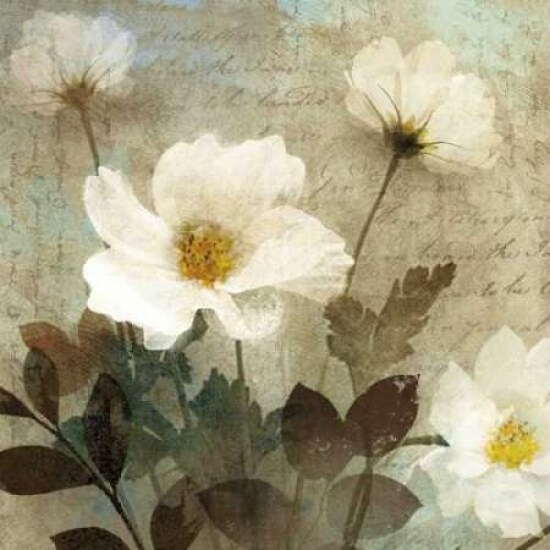 Anemone I Poster Print by Keith Mallett - Item # VARPDX16153
