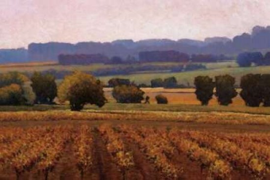 Terroir Poster Print by Kent Lovelace - Item # VARPDXLKP132