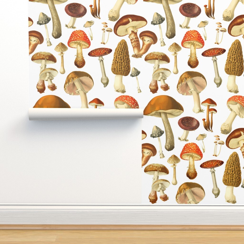Vintage Botanical Botanicals Mushrooms Illustration Nature Art Natural Science Custom Pre-pasted Wallpaper by Spoonflower Pre-Pasted Wallpaper 2FT Wide
