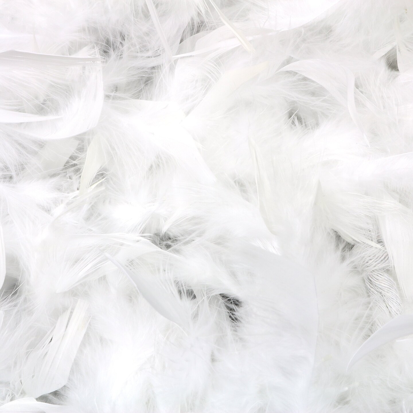Feather Boa Costume Accessory - 1920&#x27;s White Boa with Feathers - 1 Piece