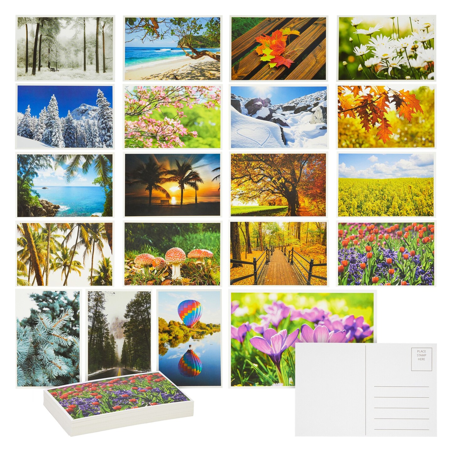 40 Pack Blank Travel Postcards for Mailing, 20 Assorted Nature Photos, Four Seasons (4 x 6 In)