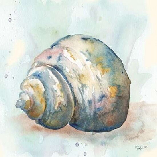 Watercolor Shells IV Poster Print by  Tre Sorelle Studios - Item # VARPDXRB9494TS