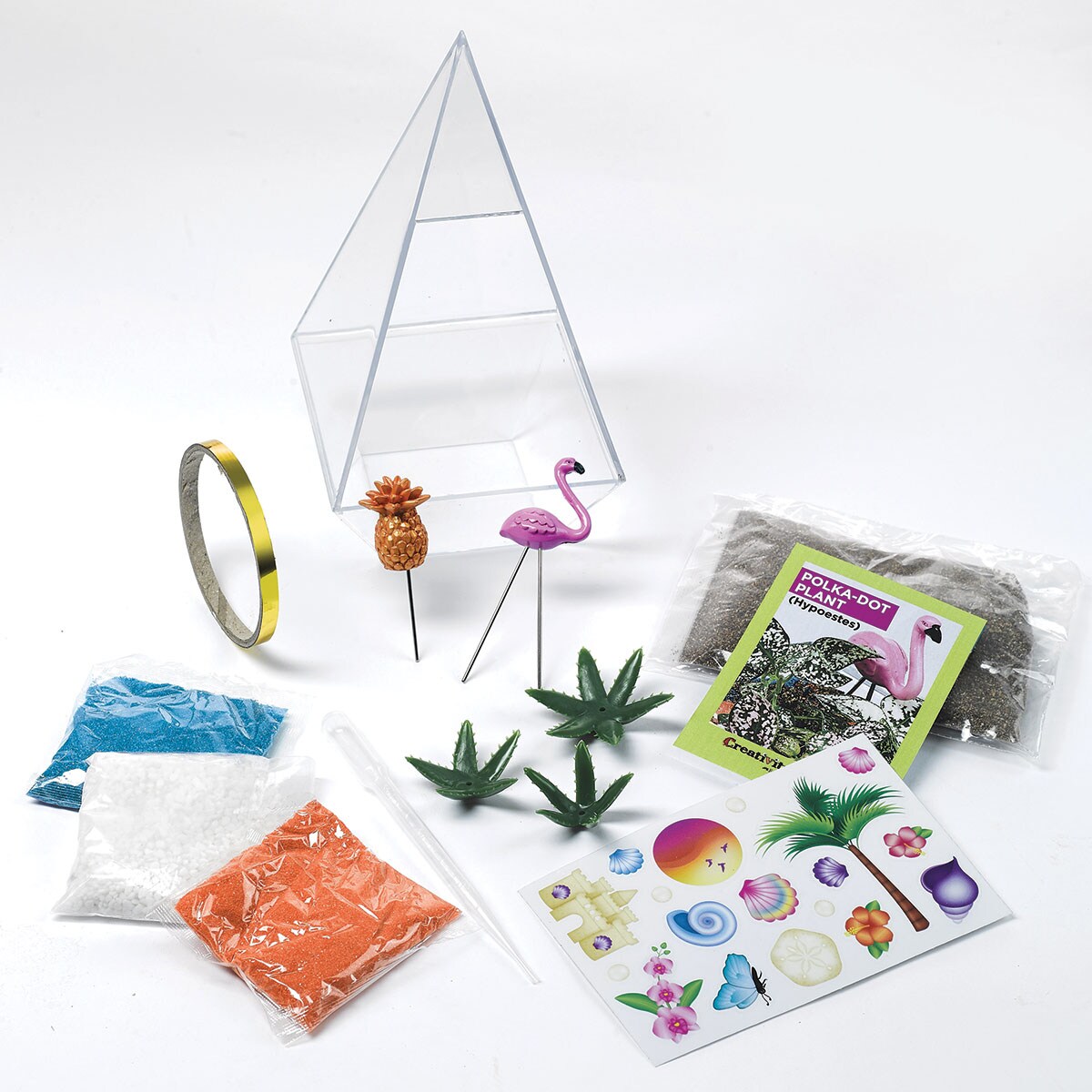 DIY Tropical Plant Terrarium Kit