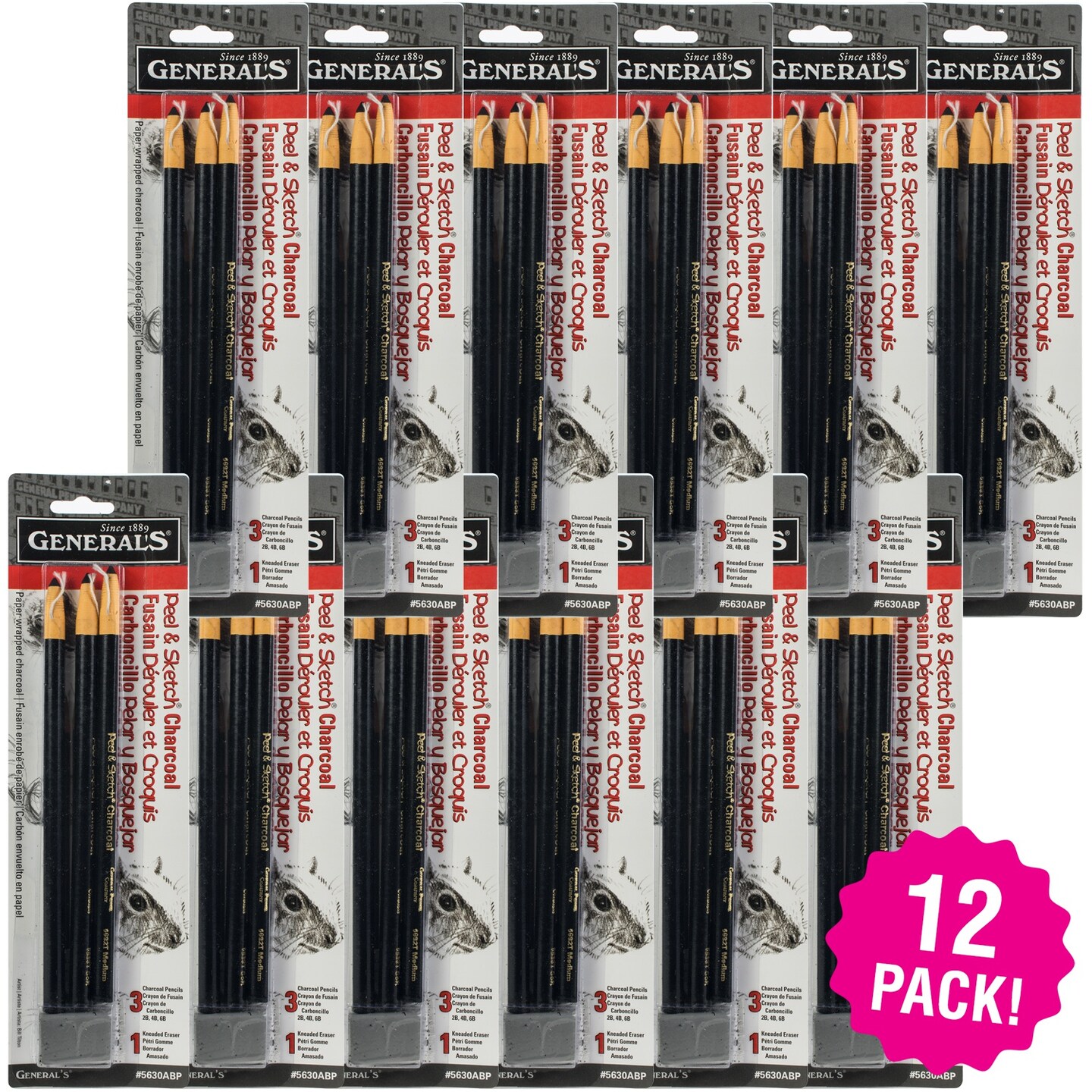 Multipack of 12 - Peel &#x26; Sketch Charcoal Pencils 3/Pkg