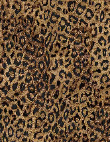 Leopard  Leopard Skin Collection Cotton Fabric by Timeless Treasures