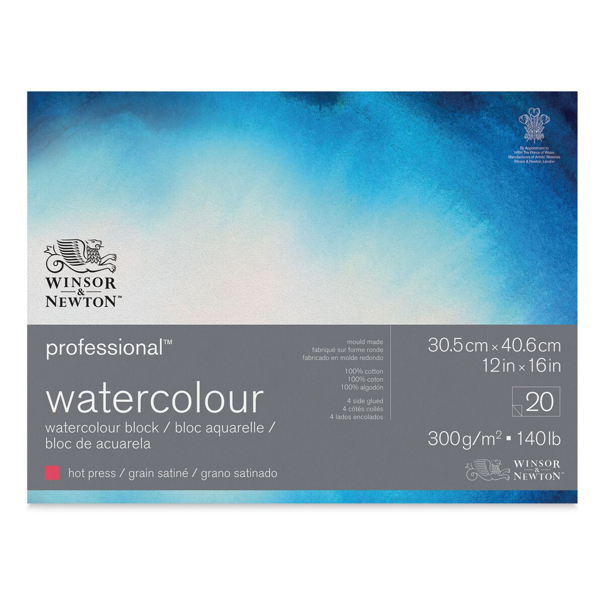 Winsor &#x26; Newton Professional Watercolor Block - 12&#x22; x 16&#x22;, Hot Press