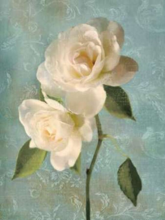 Purity II Poster Print by Janel Pahl - Item # VARPDXPLP147