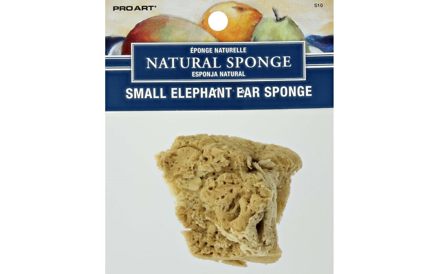 Elephant Ear Sponge Small