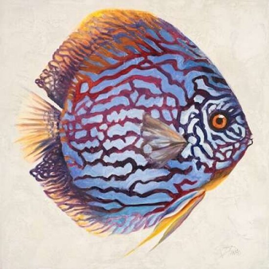 Little Fish I Poster Print by Patricia Pinto - Item # VARPDX9212